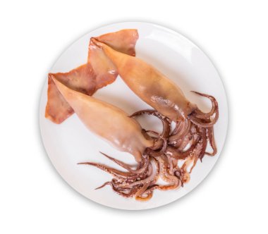 bir tabak beyaz izole zemin üzerine hazırlanmış çiğ kalamar