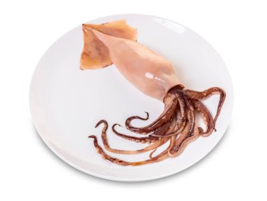 bir tabak beyaz izole zemin üzerine hazırlanmış çiğ kalamar