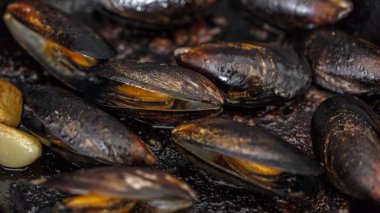 Gıda arka plan, pişirilmiş midye closeup dokusuna