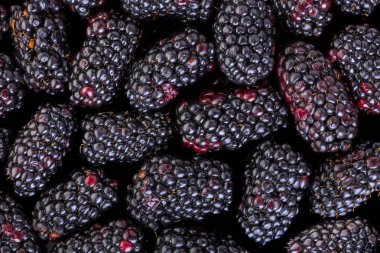 Bir böğürtlen yakın çekim soyut Berry arka plan dokusu