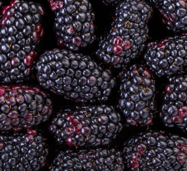 Bir böğürtlen yakın çekim soyut Berry arka plan dokusu
