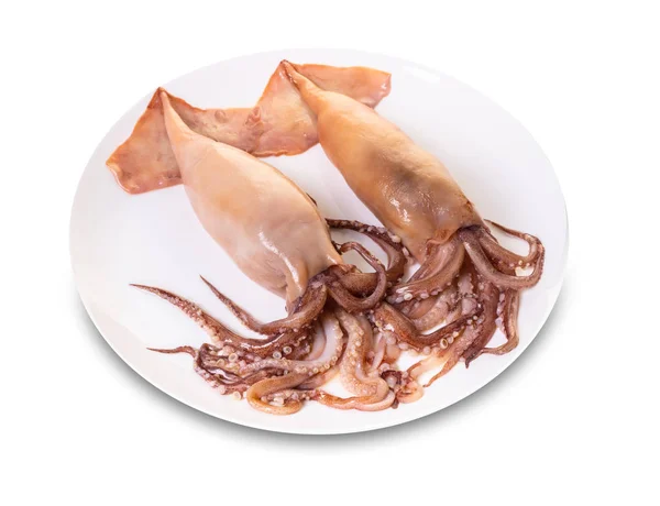 Prepared Raw Squid Plate White Isolated Background — Stock Photo, Image