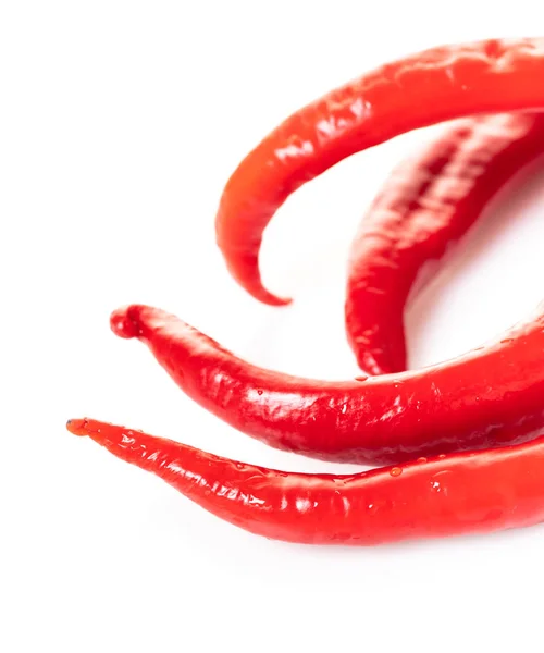 Rode Hot Chili Peper Witte Geïsoleerde Achtergrond — Stockfoto