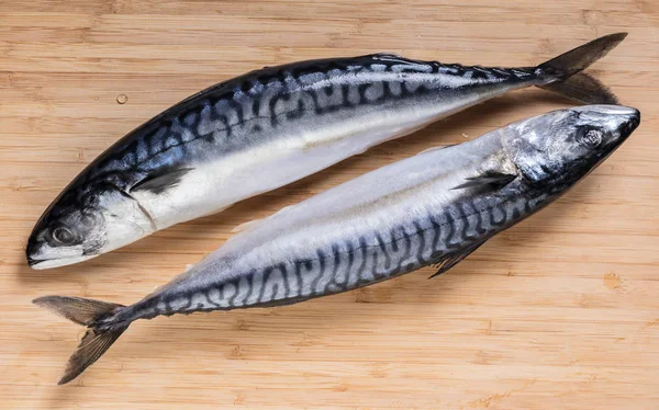Two Raw Mackerel Fish Wooden Background — Stock Photo, Image