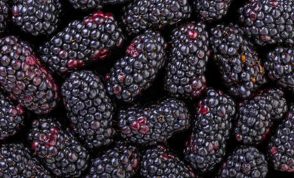 抽象浆果背景纹理的黑莓特写 — 图库照片