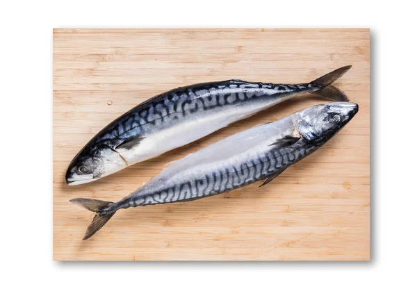 Fish Mackerel Board White Isolated Background — Stock Photo, Image