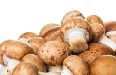 beyaz arka plan üzerinde ham mantar champignons yakın çekim