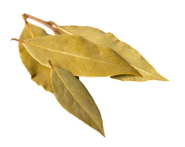 beyaz izole arka plan üzerinde kuru defne yaprakları