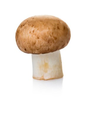 beyaz izole arka plan üzerinde ham mantar champignon yakın çekim