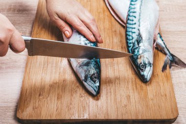 Cook çiğ Uskumru balığı keser, closeup eller