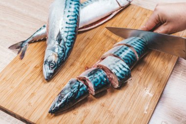 Cook çiğ Uskumru balığı keser, closeup eller