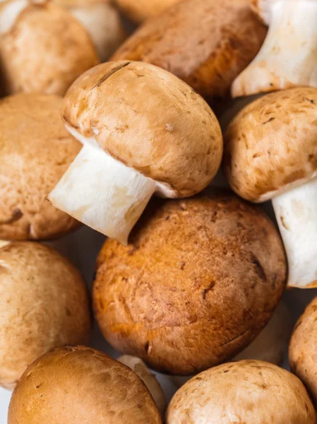 Lebensmittel Hintergrund Textur Von Champignons Pilze Nahaufnahme — Stockfoto