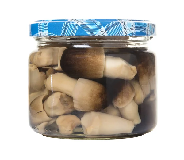 Beyaz izole arka planda kavanozda mantar turşusu.