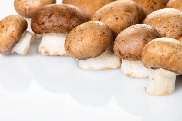 Champignons Aus Rohen Pilzen Nahaufnahme Auf Weißem Hintergrund — Stockfoto