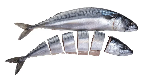 Roher Makrelenfisch Auf Weißem Isolierten Hintergrund — Stockfoto