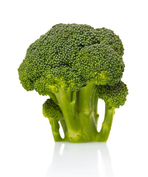 fresh raw broccoli on white isolated background