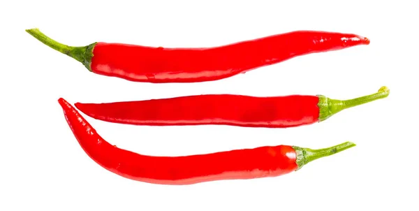 Hete Chili Peper Witte Geïsoleerde Achtergrond — Stockfoto