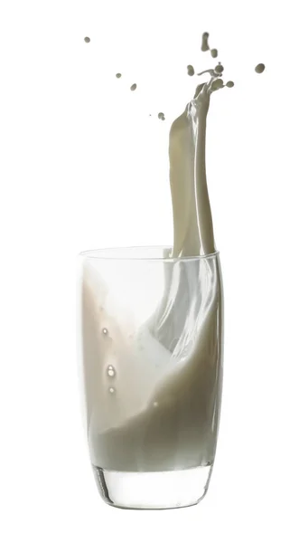 白色隔离背景玻璃中的牛奶飞溅 — 图库照片