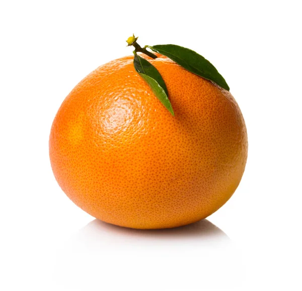 Fresh Organic Grapefruit White Isolated Background — Stock Photo, Image