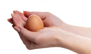 Tavuk yumurta beyaz izole arka planda kadın elinde