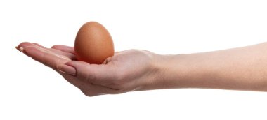Tavuk yumurta beyaz izole arka planda kadın elinde