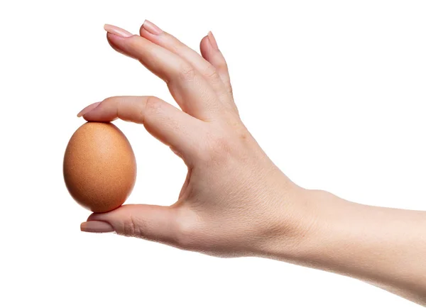 Куриное Яйцо Женской Руке Белом Изолированном Фоне — стоковое фото