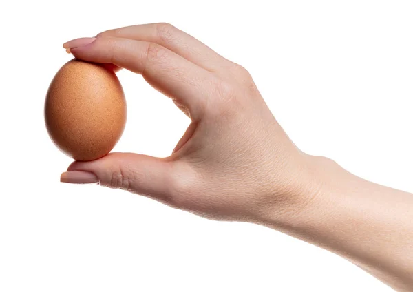 Куриное Яйцо Женской Руке Белом Изолированном Фоне — стоковое фото