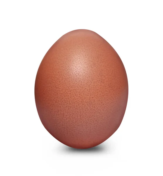 Крупный План Куриного Яйца Изолированном Белом Фоне — стоковое фото