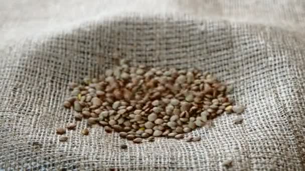 Verser Des Lentilles Vertes Gros Plan Sur Fond Toile Jute — Video