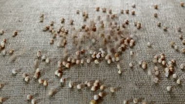 Nohut yakın çekim çuval bezi bir arka plan üzerinde dökme