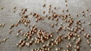 Nohut yakın çekim çuval bezi bir arka plan üzerinde dökme