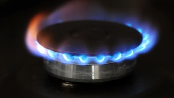Brinnande Gas Brännare Spis Närbild — Stockvideo