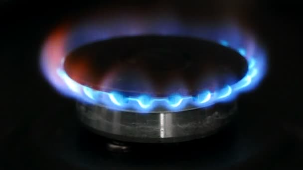 Quemador Gas Primer Plano Estufa — Vídeos de Stock