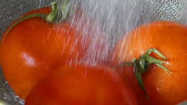 Verse Tomaten Onder Beek Close Wassen — Stockvideo