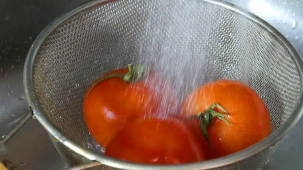 Tomates Frescos Sob Corrente Lavagem Close — Vídeo de Stock