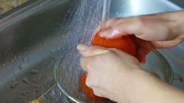 Kobieta Myje Świeże Pomidory Pod Kranem — Wideo stockowe