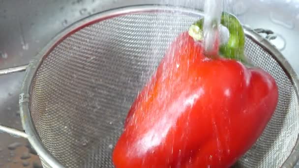 Peperoncino Rosso Sotto Acqua Corrente — Video Stock