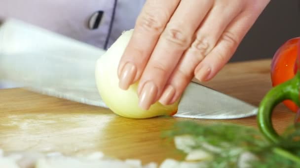 Köchin Schneidet Zwiebeln Hände Nahaufnahme — Stockvideo