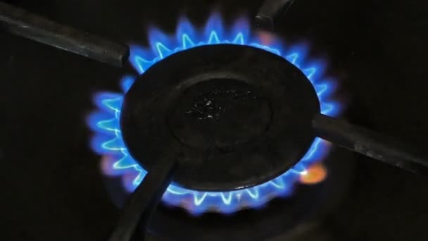 Brinnande Gas Brännare Spis Närbild — Stockvideo