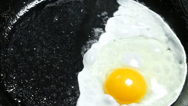 Cozinhar Ovos Fritos Óleo Vegetal Uma Panela — Vídeo de Stock