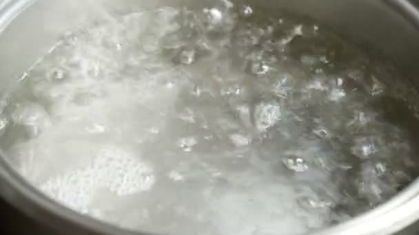 Eau Bouillante Dans Une Casserole Gros Plan — Video