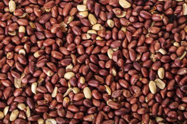 kavrulmuş fıstık doku yakın çekim