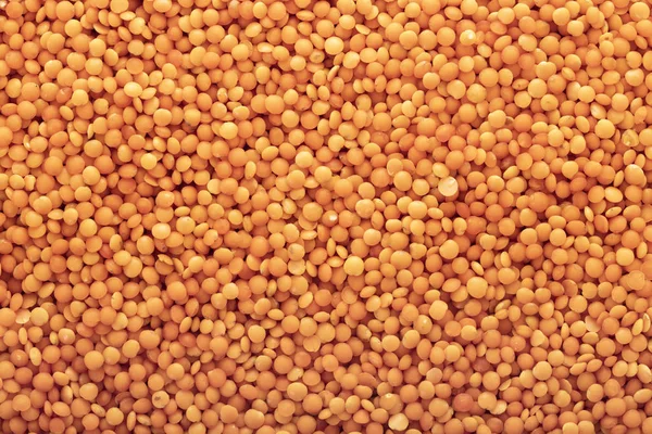 Raw lentils texture closeup — Stock Photo, Image