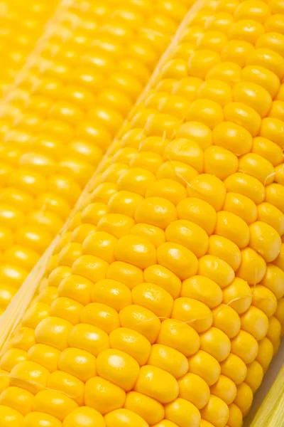 Textúra a kukorica csövek Vértes — Stock Fotó