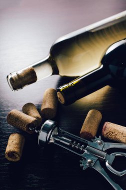 şarap ve korkvida şişeleri 