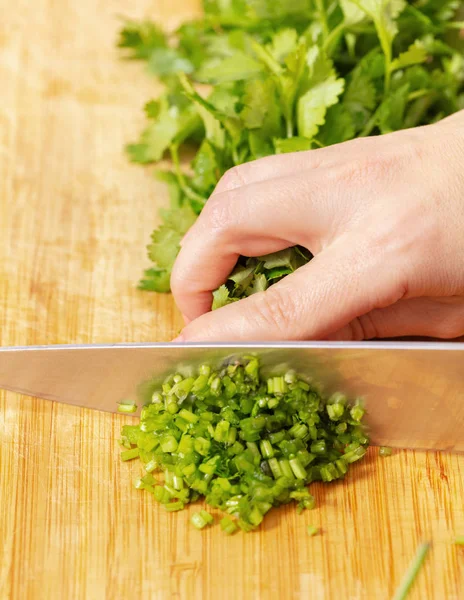 Cocinar el cilantro verde picado — Foto de Stock