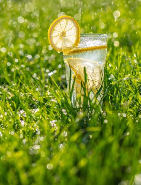 yeşil çim bir bardak limonata