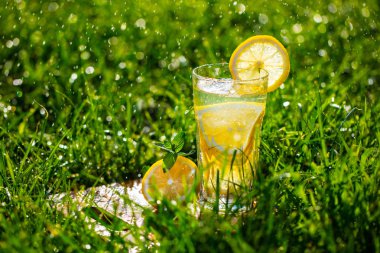 yeşil çim bir bardak limonata