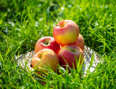 bahçede yeşil çim üzerinde elma