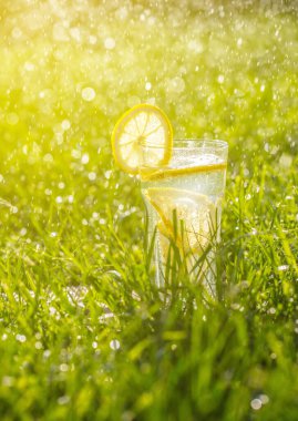 yeşil çim bir bardak limonata